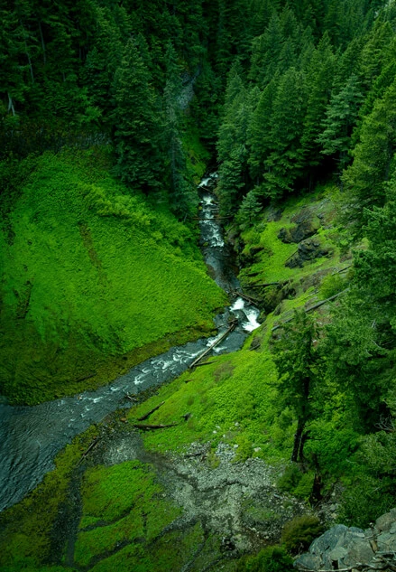 Aplikacja kamery CCTV do ochrony przeciwpożarowej lasu