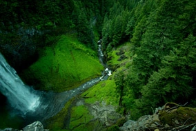 Aplikacja kamery CCTV do ochrony przeciwpożarowej lasu