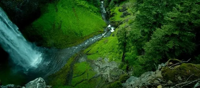 Aplikacja kamery CCTV do ochrony przeciwpożarowej lasu