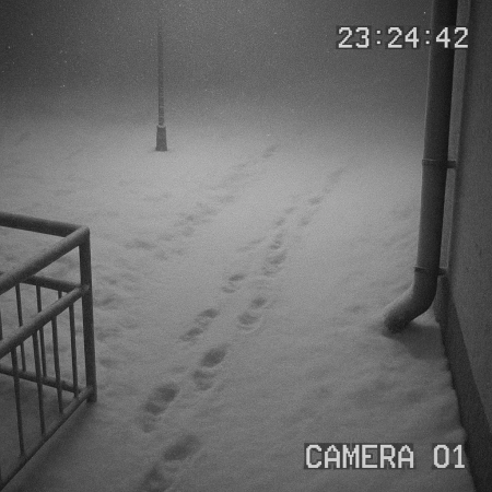 Security_camera_in_cold_environment.webp